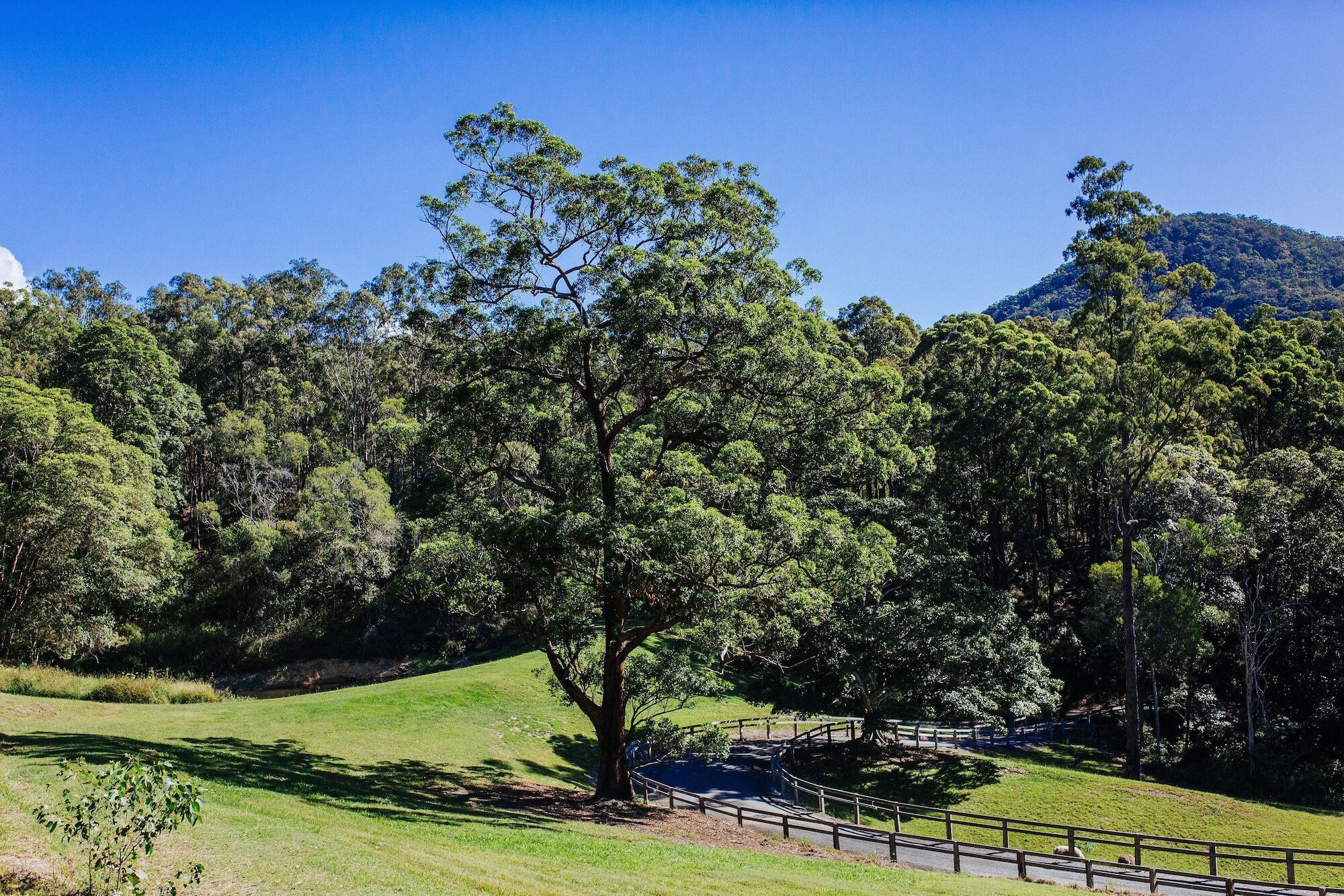 Ruffles Lodge And Spa Willow Vale Buitenkant foto